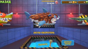 Акулёнак туруру