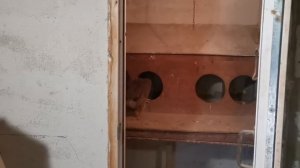 Куры перестали нестись, что делать?