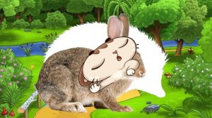 Дикие животные. Животные леса для детей от 1 года