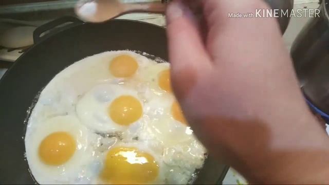 Эксперимент. Интерес той-терьера к морской свинке. Вечер дома. смотреть онлайн