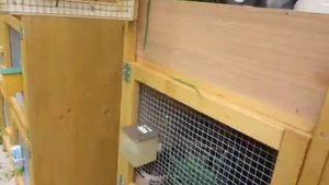 Деревянные клетки для кроликов - хорошая клетка для кроликов. Разведение декоративных кроликов.