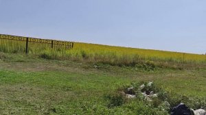 Источник Явления Божией Матери у села Кремёнки