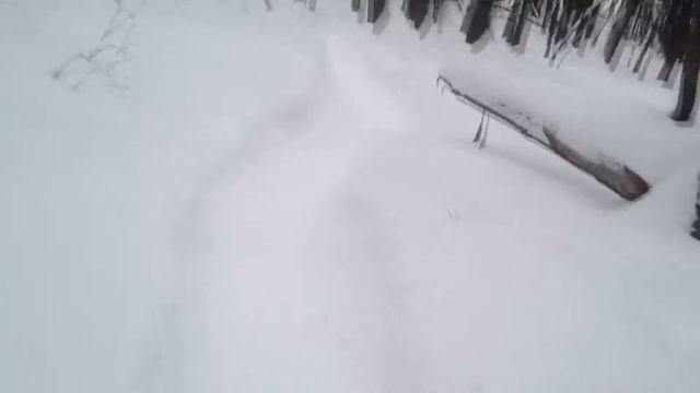 На сноуборде по лесу от 1 лица смотреть онлайн