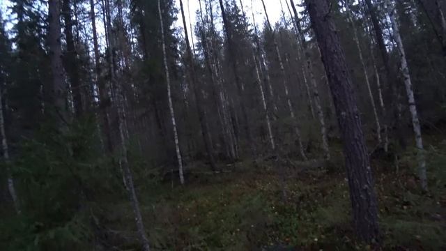 Таёжный быт у избы. Чердак в избе. Вечерняя охота. Ночёвка в избе 3 серия //ВТОРАЯ ИЗБА ОСЕНЬ 2022/
