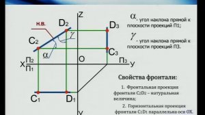 Лекция 3. Прямая линия