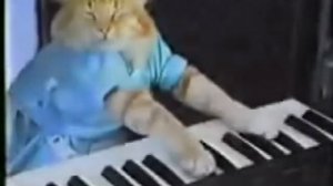 кот играет на пианино (оригинал) 1982