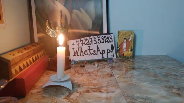 ПОГОВОРИМ ПО ДУШАМ С ДИНОЙ САН... смотреть онлайн