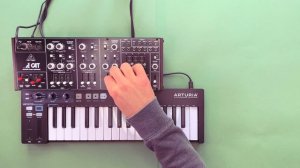 Behringer Cat Sound Demo and Patch Tutorial (No Talking)