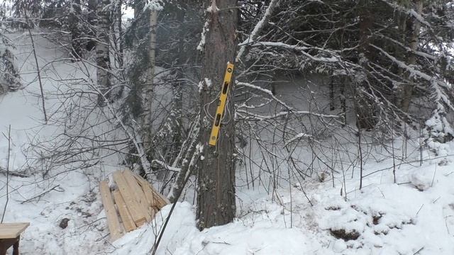 Первый визит На лесное жилище. Таежный быт. смотреть онлайн