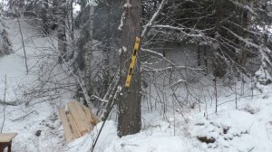 Первый визит На лесное жилище. Таежный быт.
