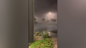 Случаи в Природе Один на Миллион(6)