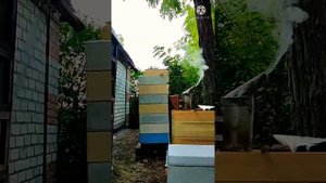 малоформатный улей, прелести))