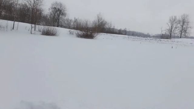 Как же просто наловить живца зимой. смотреть онлайн