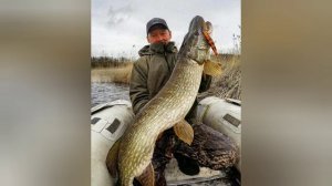 Рыбалка, ловля щуки