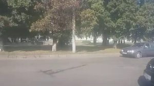 Луцьк гіпермаркет Там Там торговий центр Цум