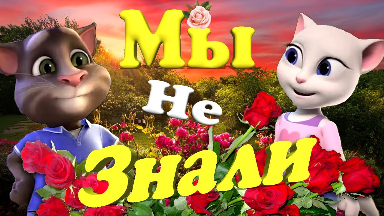 ? Красивый Романтический и Милый ? Клип от ✨ Тома и Анжелы ✨ с ? Любовью ? Дарим Настроение 100 % ?