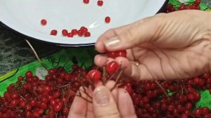 Варенье из калины. Без варки. Изумительный вкус!