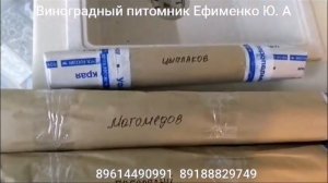 рассылка саженцев Почтой России