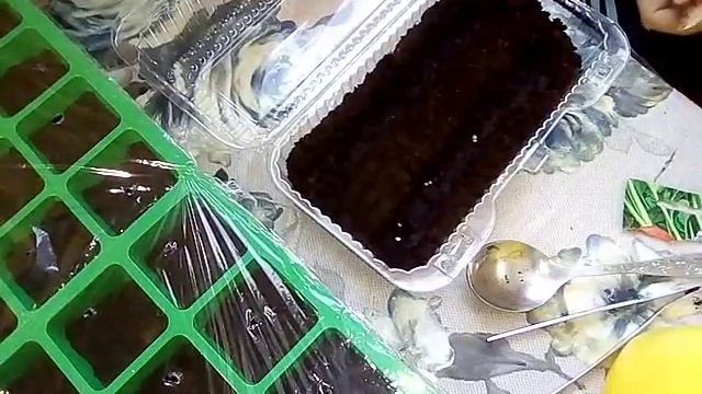 Редис на подоконнике. ЭКСПЕРИМЕНТ!!!!! смотреть онлайн