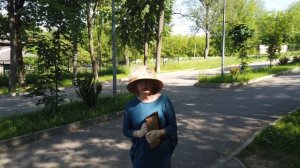 Онлайн-экскурсия. Город Яхрома