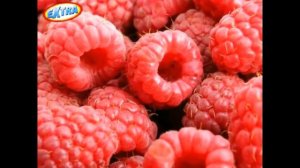 Марина Журавлёва малина