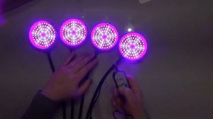 Светильник  для растений с Алиэкспресс!  Фитосветильник.  Обзор Тест!