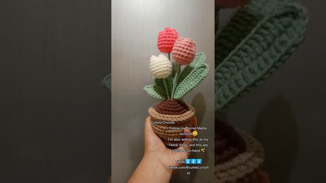 Crochet Potted Plants (Rose, Sunflower, Tulips & Daisy)