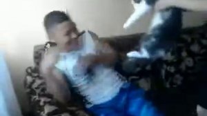 Гипопотам,или кошка людоед!!!