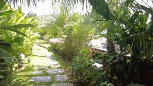 ФИЛИППИНЫ 2023 Палаван, Панглао, Бохоль