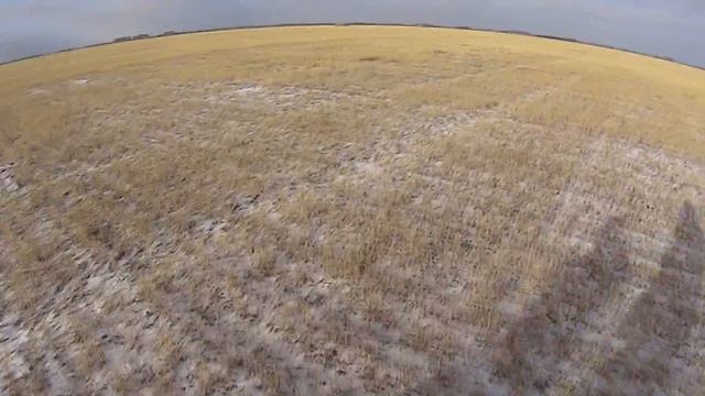 ОТКРЫТИЕ ЗИМНЕГО СЕЗОНА ОХОТЫ 2014-2015. Охота загоном на зайца русака. смотреть онлайн