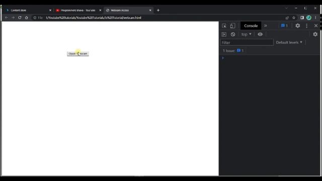 Camera Access App in JavaScript|Camera in JavaScript|WebCam Access|Programmersbhava