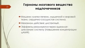 Лекция 12 РЕГУЛЯЦИЯ ОБМЕНА ВЕЩЕСТВ (часть 2)