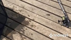 Рыбалка на Озёрах Адыгеи