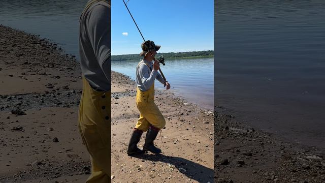 Это все навигатор 😄  Подпишись, новое видео каждый день!