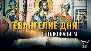 «ПРИШЕЛ СЫН ЧЕЛОВЕЧЕСКИЙ» / ЕВАНГЕЛИЕ ДНЯ