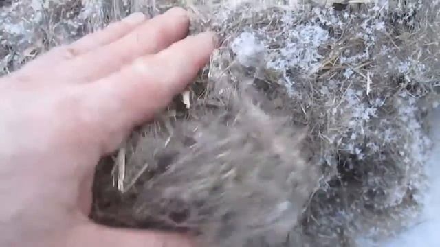 Как выбрать паклю смотреть онлайн