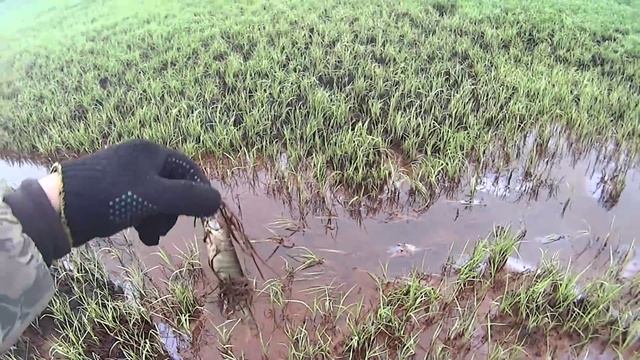 Одиночный поход на пойму. Сентябрь смотреть онлайн