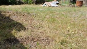 Делаем деревянный забор