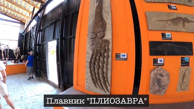 Палеопарк на Алтае! Экскурсии Чемал. Музей естественной истории.
