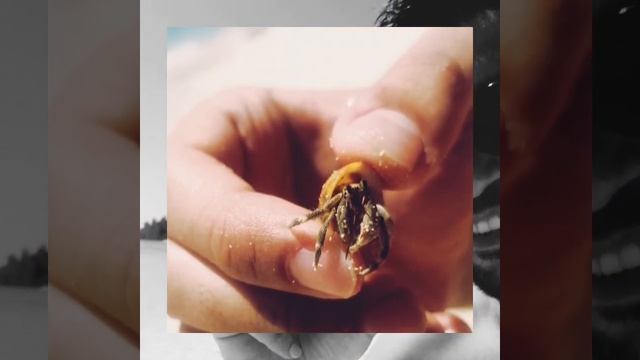 Отдых • Январь • 2019 смотреть онлайн