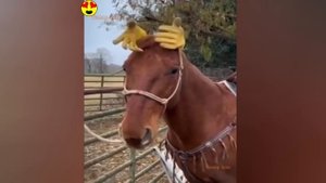 Смешные случаи на работе