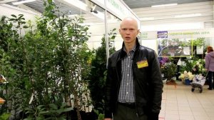 Как выбрать и посадить плодовое дерево