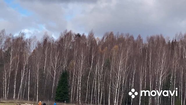 Квалификационные соревнования 30/10/2022 в АТК Горыныч. Судья М.Кобликова .TS-2. Плюша 2 место! смотреть онлайн