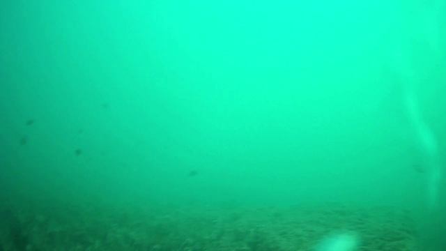 Подводные съемки в Черном море и рыбалка с лодки в Варваровской Щели Анапского района
