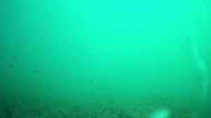 Подводные съемки в Черном море и рыбалка с лодки в Варваровской Щели Анапского района