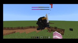 Wither Boss vs Skeleton Boss Minecraft