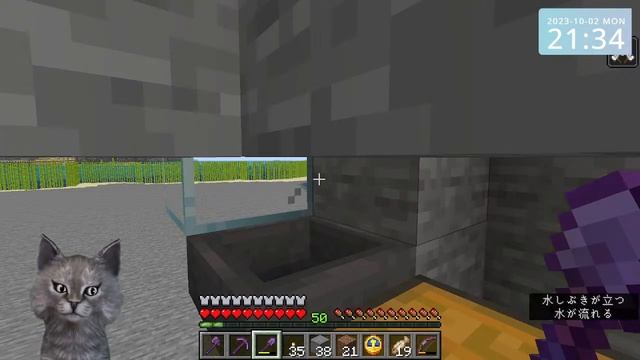 Minecraft test (Java Edition 1.20.1+MOD) смотреть онлайн
