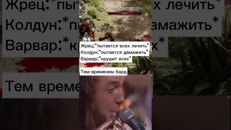 Вчера начали играть в Baldur’s gate 3,примерно так выглядит #anreyd #baldursgate3 #memes #игры