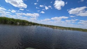 Ловля сома на живца на поставухи