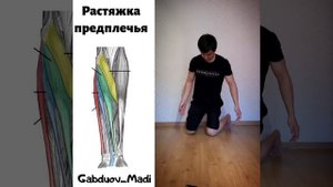 Как растянуть предплечья | Растяжка для предплечья | Madi Gabduov